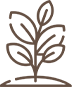 WV_0021_Plant-icon